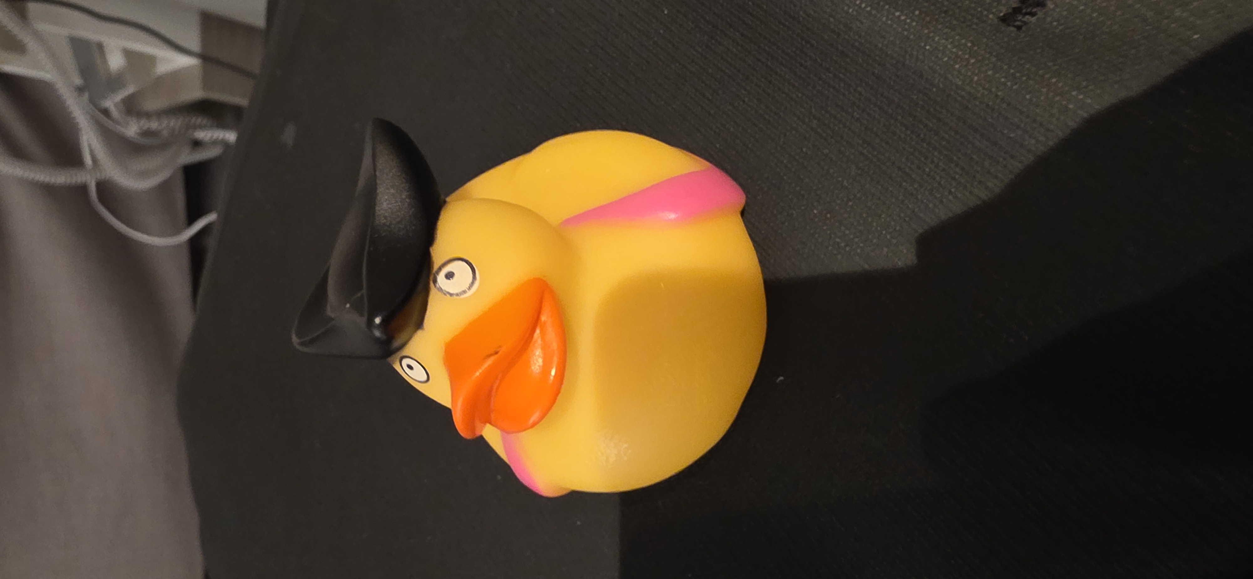 Duck AEZ467 adventure