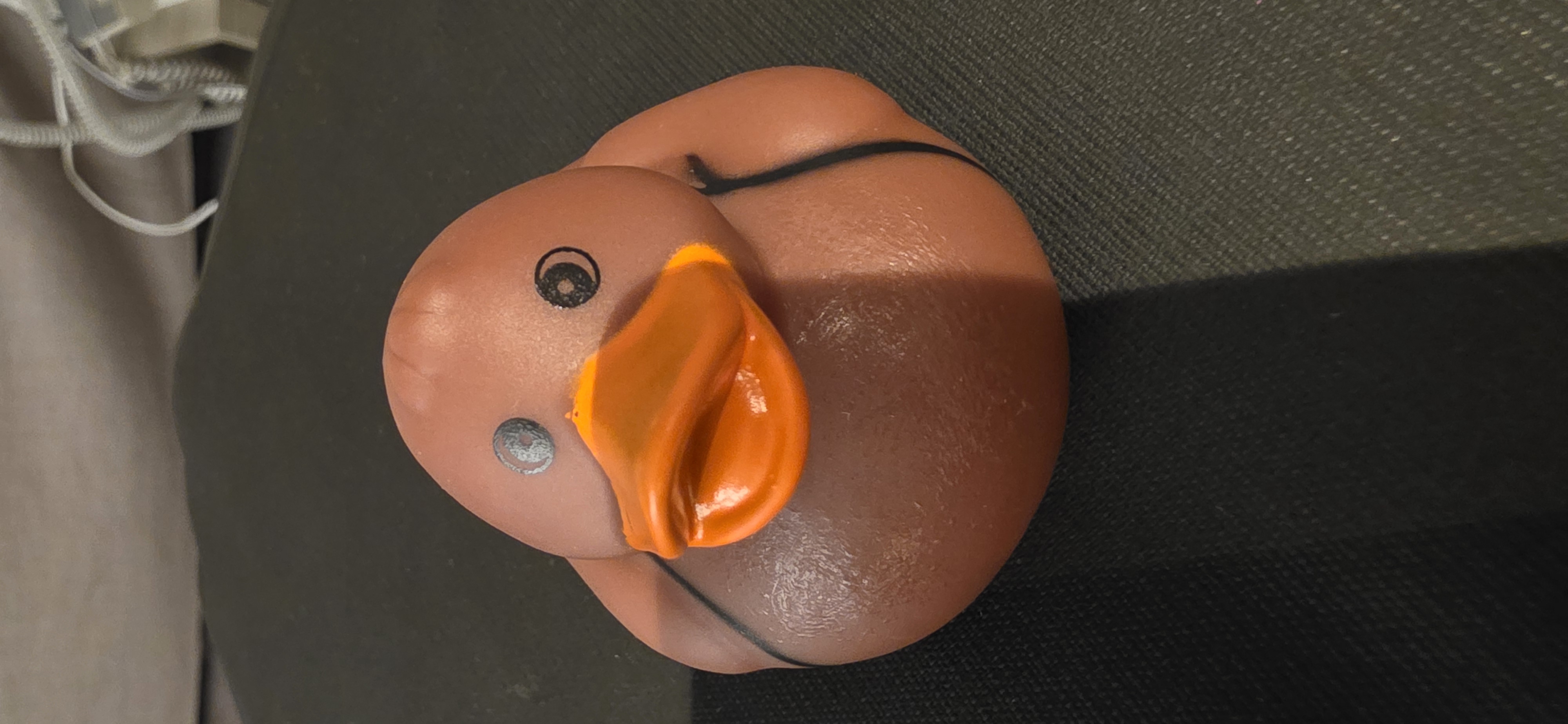 Duck WXE893 adventure