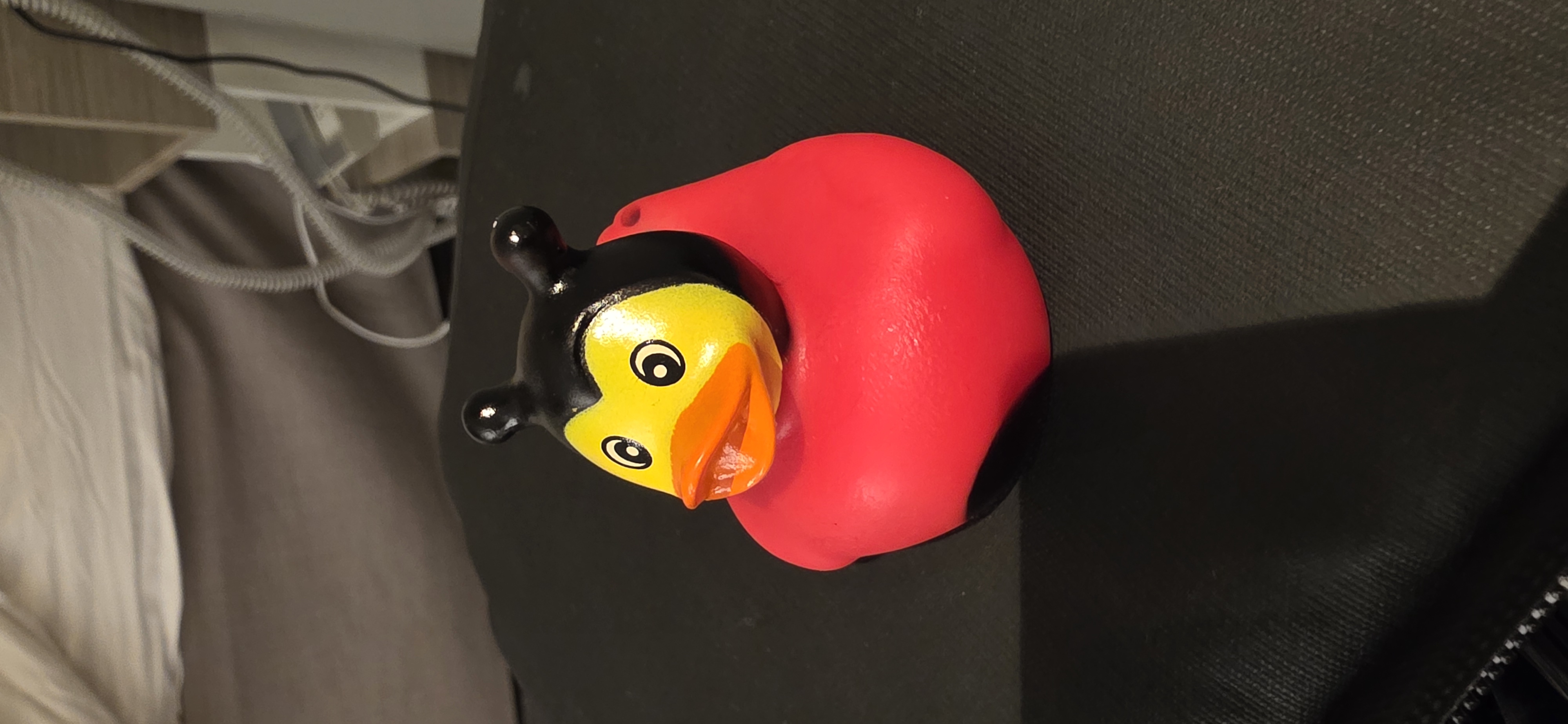 Duck WXF842 adventure